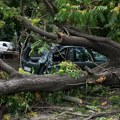 Kako da nadoknadite štetu ukoliko oluja obori drvo na vaš automobil