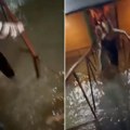 Užas u Smederevu! Splav pun gostiju počeo da tone: Ljudi u panici beže - Prizori zastrašujući (video)