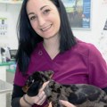 Stigao mrtav, a kad sam se vratila oživeo je! Tamara je omiljena veterinarka u Žablju, ovo će zauvek pamtiti