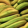 Nestašica banana, cijene će rasti