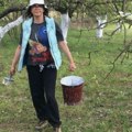 "Motika je čudo" Naša čuvena glumica sama okopava baštu i kreči stabla, a evo kako izgleda njeno seosko imanje s drvenom…