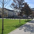Dominacija betona još veća - OSUŠILA SE polovina stabala na Trgu Radomira Putnika