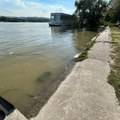 Muškarac koji se utopio u Dunavu poznat je širom Srbije kao i njegova dela: Tragično nastradao u 46. godini, došao da…