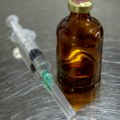 Preventiva slabi, otpornost raste Stručnjaci pozivaju da se upotrebi antibiotika u lečenju domaćih životinja pristupa…