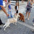 Udomi psa i, osim prijatelja, dobijaš i sezonsku kartu za utakmice FK “Dubočica“