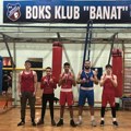Pet boksera, tri medalje: Dobar nastup BK Banat na prvenstvu Srbije