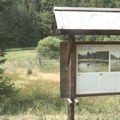 Redak predator uslikan na planini u Srbiji! Ljudi u neverici trljaju oči i gledaju u misterioznog "duha šume"
