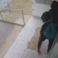 Snimljena divljačina iz Rakovice Gledajte smo šta radi u zgradama usred bela dana