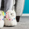 Dan veselih papuča : 28. maj - Dan dece bez roditeljskog staranja