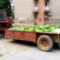 Prodaja lubenica: U Požarevcu i Kostolcu određeno 25 lokacija