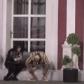 "Poslao mi je srce i poljubac, nije se za*****ao": Milosava više ne krije emocije prema Asminu