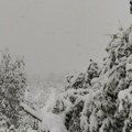 Sneg zatrpao delove Srbije! Putevi blokirani, drveće puca, sela bez struje: Neverovatni prizori, a danas će tek vejati…