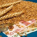 Откуп 200.000 тона пшенице као мера помоћи ратарима: Позната цена по килограму