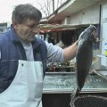 Riba jeftinija nego prošle godine! Ovu cenu šarana i pastrmke niko nije očekivao (foto)