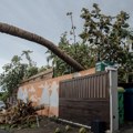 Uragan "Belal" pogodio Reinion u Indijskom okeanu, jedna osoba poginula
