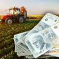 Počinju konkursi za poljoprivrednike: Evo kako do podsticaja između 20 hiljada i milion evra