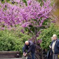 Promenljivo oblačno vreme: Više padavina tokom jutra, najviša temepratura 28 stepeni
