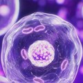 Zaboravite klasične kreme: Vašu beauty rutinu sada kreira veštačka inteligencija
