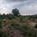 Bukti požar u Deliblatskoj peščari! Vatrena stihija gutala borovu šumu, jak vetar pravi pakao: Hitno se uključuje i helikopter…
