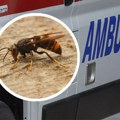 Drama na Kušićima: Ekipa Hitne pomoći spasla mladog oca nakon ujeda stršljena