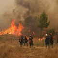 Požari i dalje besne u Grčkoj: Naređena evakuacija više sela u centralnom delju zemlje