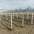 Prijepolje: Bespovratna podrška za najmanje 20 poljoprivrednika – plastenici za razvoj proizvodnje
