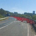 Haos kod Gornjeg Milanovca: Više od 500 gajbi završilo na putu