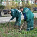 Na Bulevaru Mihajla Pupina i u Dunavskom parku zasađeno 18 novih stabala