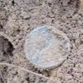 U blatu pronašao neobičan metalni predmet Odmah se oglasili stručnjaci (video)