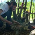 Hrana i život u skladu sa prirodom: Počela sezona na Ranču Pavlović (VIDEO)