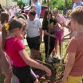10 minuta: Akcija ozelenjavanja školskih dvorišta