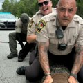 Zver od tri tone napravila haos u saobraćaju Ogroman predator ''bez lične karte'' izašao da se sunča, građani u panici…