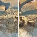 Srbi na omiljenim plažama u Grčkoj zatekli jezivo morsko stvorenje: "Ta riba je opasna, može prst da odgrize"