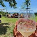 Veliki turistički vodič: Vinska avantura oko Strazbura: Biciklom kroz sela Alzasa