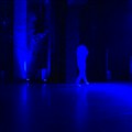 U Novosadskom pozorištu otvoren pozorišni festival "Bezvremeni"