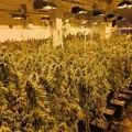Razbijena narko-fabrika u Subotici: Policija upala u dve tajne laboratorije