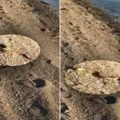 Snimak prestravio turiste, zmija izašla iz mora: Često je viđena na ovom mestu u Grčkoj, kupači je jurili video