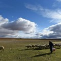 Farmer gajio mutante, pa završio na sudu: Pravio svoj eksperiment, preti mu ozbiljna kazna