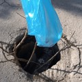 Čitaoci javljaju: Šahta propala u zemlju u naselju Dubočica, stavili granu i kesu kao upozorenje