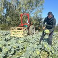 Vuk je jedan od najmlađih poljoprivrednika u Srbiji! Obrađuje više hektara zemlje nego što ima godina!