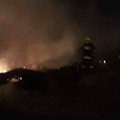 U Srbiji bukte požari, na teritoriji Zaječara juče ih je bilo 12