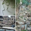 Dragana Đorđević SRCE Vranje: Dve bliske bunuševačke realnosti