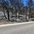 Veliki požar izbio na ostrvu Vis, gori borova šuma kod Komiže