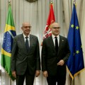 Vučević: Srbija opredeljena da razvija odnose sa Brazilom na svim poljima