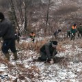 Pošumljavanje u selu Podrimce i na planini Kukavica