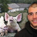 Progovorili radnici sa farme svinja Veljka Ražnatovića! Evo kakav je Cecin sin kao gazda: Na vratima imanja stoji snažna poruka…