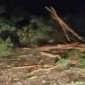 Grom napravio haos kod Čačka! Udar bio silovit, pregoreli kućni aparati i ruteri, jaka oluja pokidala drveće!
