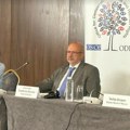 "Brojne preporuke su već primenjene" Konferencija misije ODIHR-a posle lokalnih izbora u Srbiji (video)