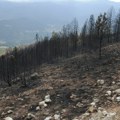 Opustošeno 300 hektara: Ugašen požar na planini Troglav poviše Bogutovca