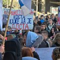 Protestuju komšije Ane Brnabić, Tomislava Nikolića, Nikole Petrovića: Ustaju Dedinje i Senjak, ovo je plan protesta